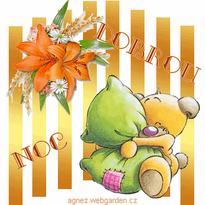 Medvídek s polštářkem