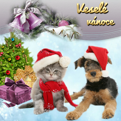 Veselé Vánoce pejsek a kočička
